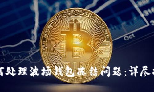如何处理波场钱包冻结问题：详尽指南