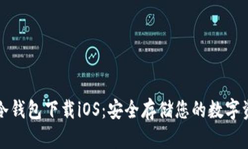 tp冷钱包下载iOS:安全存储您的数字资产