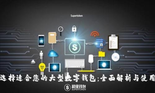 如何选择适合您的大型数字钱包：全面解析与使用技巧