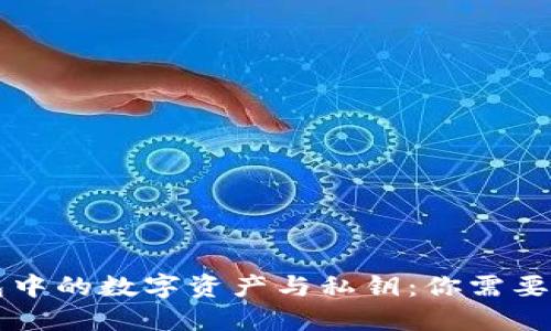 区块链钱包中的数字资产与私钥：你需要知道的一切