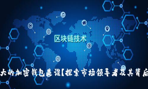 全球最大的加密钱包是谁？探索市场领导者及其背后的故事