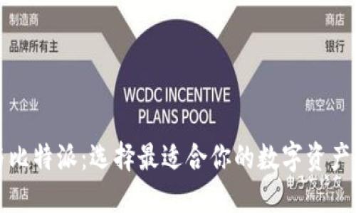 TP钱包与比特派:选择最适合你的数字资产管理工具