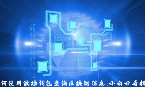如何使用波场钱包查询区块链信息:小白必看指南