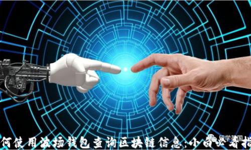 如何使用波场钱包查询区块链信息:小白必看指南
