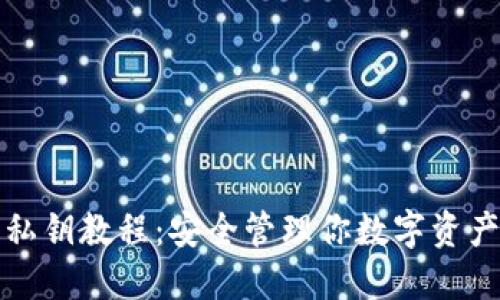 TP钱包导入私钥教程:安全管理你数字资产的必备指南