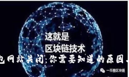 区块链钱包网站关闭：你需要知道的原因与应对策略