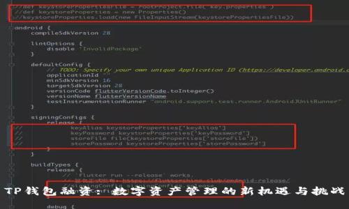 TP钱包融资: 数字资产管理的新机遇与挑战