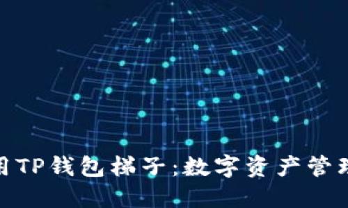如何安全使用TP钱包梯子：数字资产管理的全新体验
