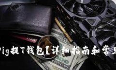 如何使用Pig提T钱包？详细