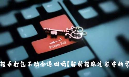 TP钱包转币打包不动会退回吗?解析转账过程中的常见问题