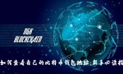 : 如何查看自己的比特币钱