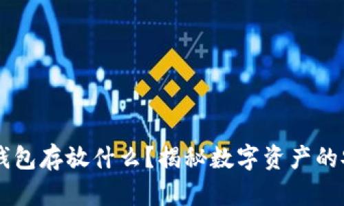 区块链钱包存放什么？揭秘数字资产的安全秘笈