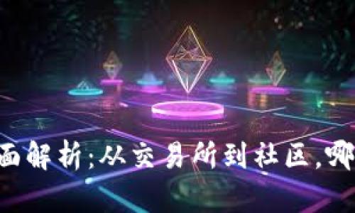 币圈交流平台全面解析：从交易所到社区，哪个才是你的选择？