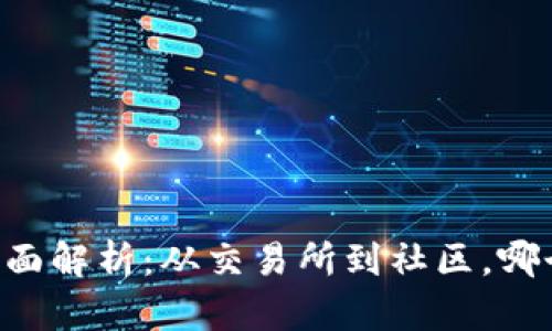 币圈交流平台全面解析：从交易所到社区，哪个才是你的选择？