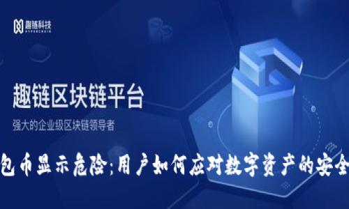 TP钱包币显示危险：用户如何应对数字资产的安全风险