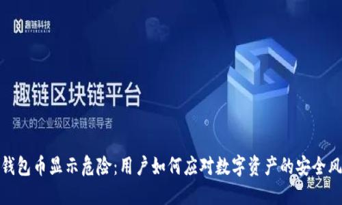 TP钱包币显示危险：用户如何应对数字资产的安全风险