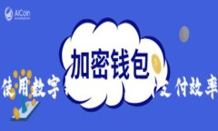 如何正确使用数字钱包功