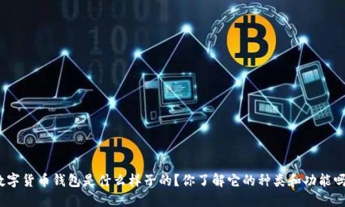 数字货币钱包是什么样子的？你了解它的种类和功能吗？