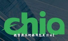 数字藏品对接钱包是什么