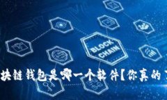 最安全的区块链钱包是哪