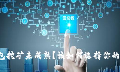 虚拟币钱包挖矿未成熟？该如何选择你的数字钱包？