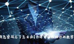 比特币钱包密码忘了怎么