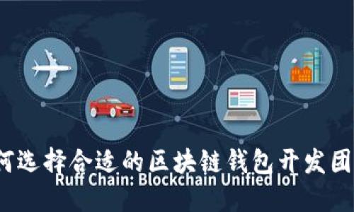 如何选择合适的区块链钱包开发团队？