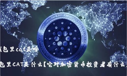 t p钱包里cat是啥
TP钱包里CAT是什么?它对加密货币投资者有什么意义?