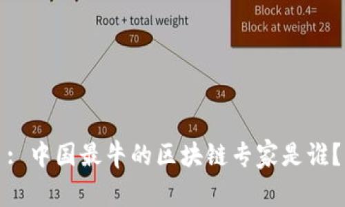 : 中国最牛的区块链专家是谁？