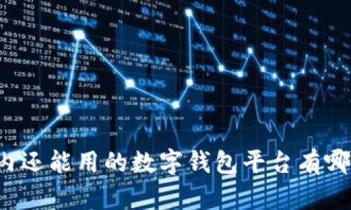 国内还能用的数字钱包平台有哪些?