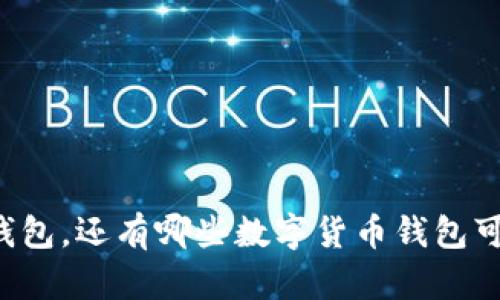 除了TP钱包,还有哪些数字货币钱包可以选择?
