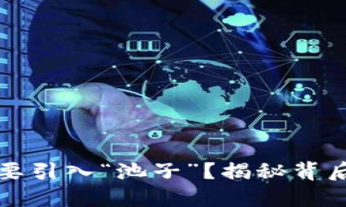 为什么TP钱包要引入“池子”?揭秘背后的原因与影响