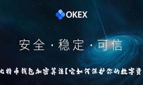 什么是比特币钱包加密算法？它如何保护你的数字资产安全？