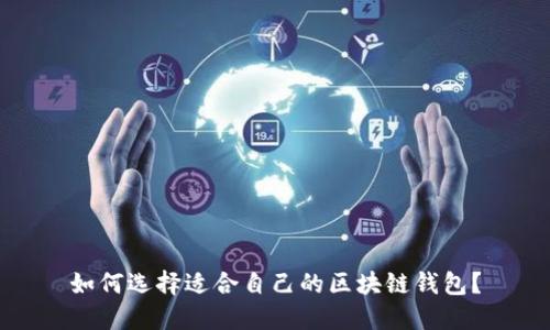 如何选择适合自己的区块链钱包?
