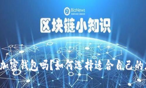 中国能用加密钱包吗？如何选择适合自己的加密钱包？