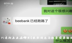  Pi币的未来在哪里？最新