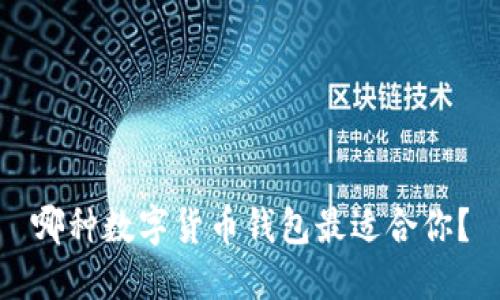 哪种数字货币钱包最适合你?