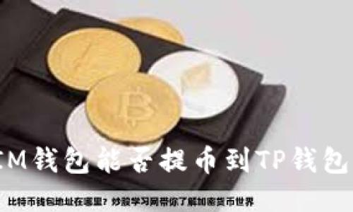 IM钱包能否提币到TP钱包？