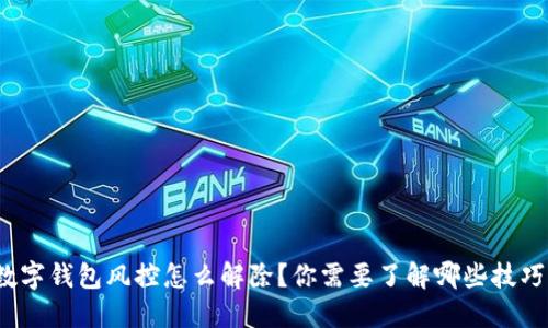 数字钱包风控怎么解除？你需要了解哪些技巧？