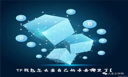 TP钱包怎么查自己的币去哪里了？