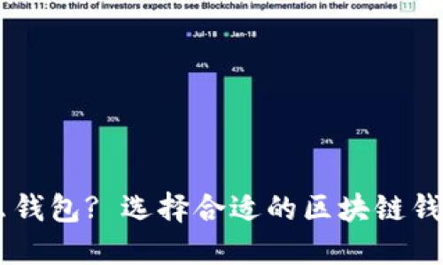 区块链需要什么钱包? 选择合适的区块链钱包:我该怎么做?